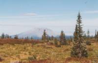 Mt. St. Helens